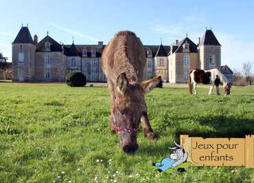 Chateau en fond, un âne et un poney en train de manger l'herbe sur le devant