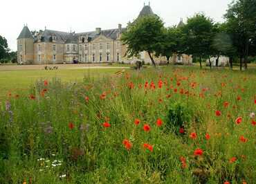 Chateau en arrière-plan, grand espace de verdure devant et espace végétalisé de coquelicots au premier plan