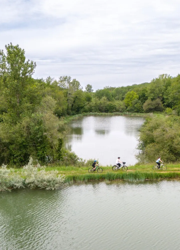 Vélos près de l'eau