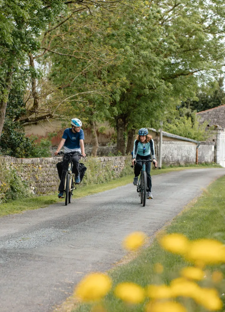 Location Vélo Charente à Châteaubernard (Cognac)