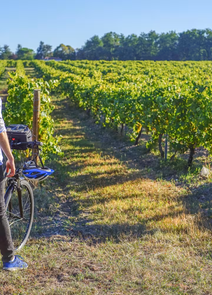 la_flow_velo_Vignes_Merpins