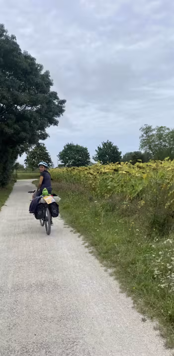 Chemin©Audrey.jpg