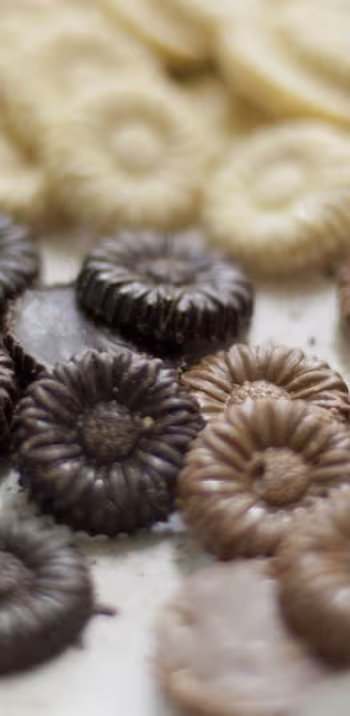 The Marguerite d'Angoulême chocolate
