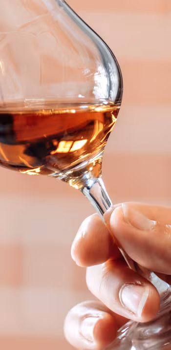 Verre de Cognac