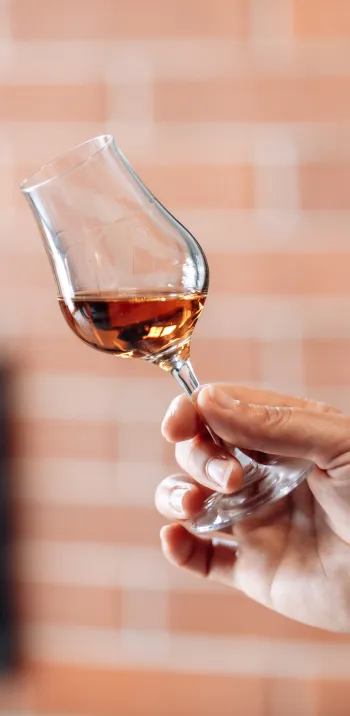 Verre de Cognac
