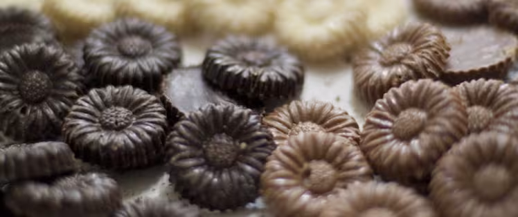 The Marguerite d'Angoulême chocolate