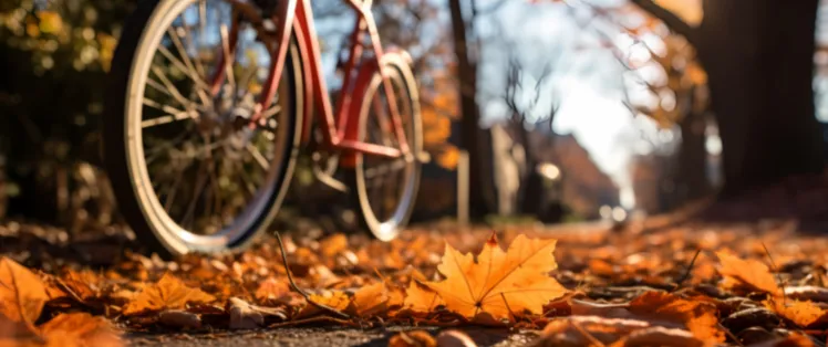 Temps fort Automne Flow velo