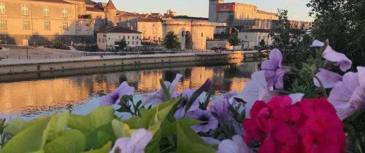 temoignage de Myrtille en solo.jpg