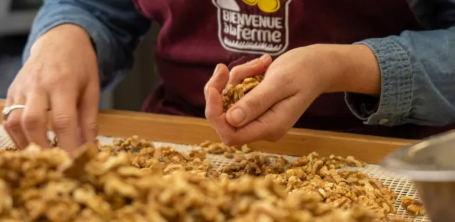 La Noyeraie des Borderies - walnut farm and shop