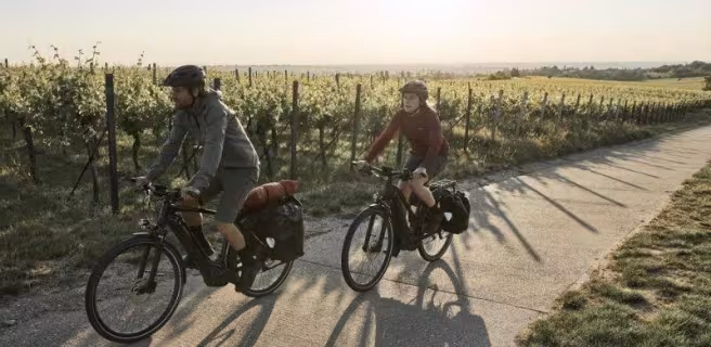 Revbikes Cognac