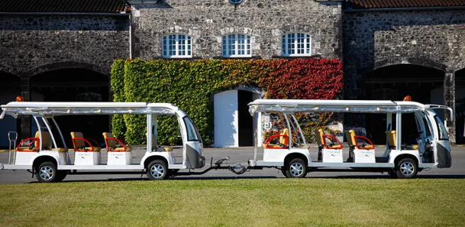 Parcours en train du Domaine Rémy Martin