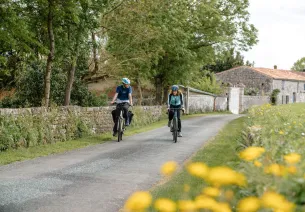 Location Vélo Charente à Châteaubernard (Cognac)