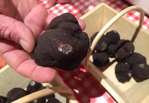 Truffes du Périgord