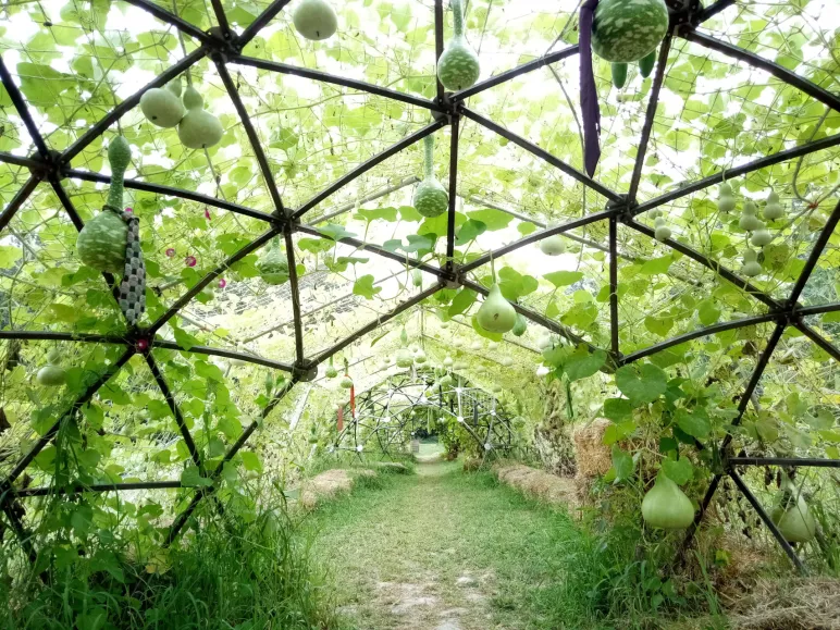 Les jardins respectueux (Châteaubernard)