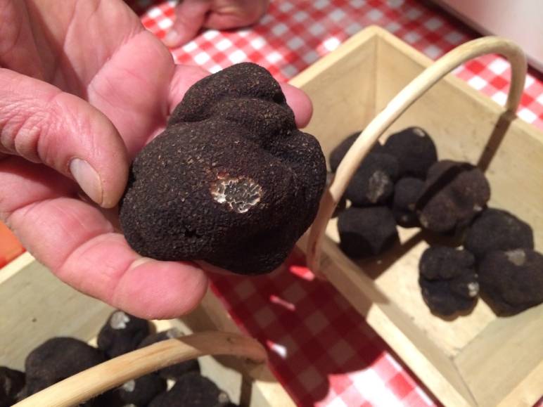 Truffes du Périgord